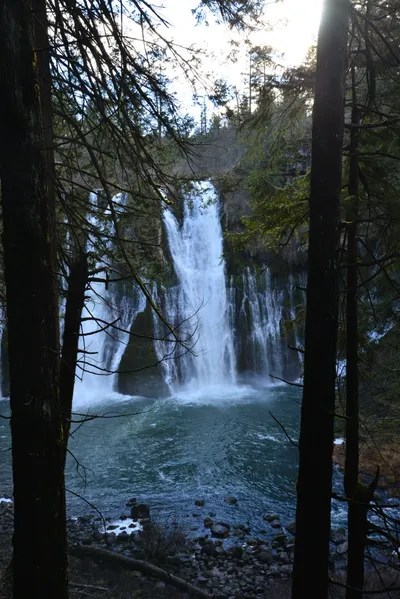 DSC_5927 (Large).JPG